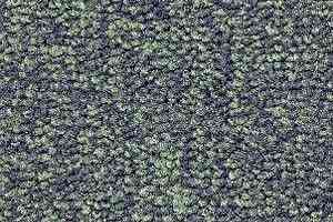 Ковролин Radici Trotter Cedro 2427 фото  | FLOORDEALER